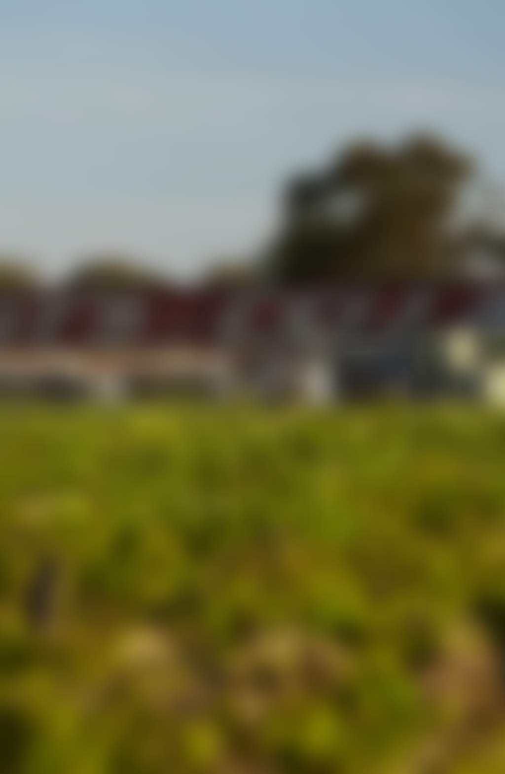 Best's Wines, Great Western