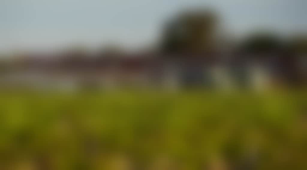 Best's Wines, Great Western