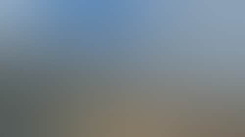 02F05D548A56Ab8305C7C73E04503Bbf