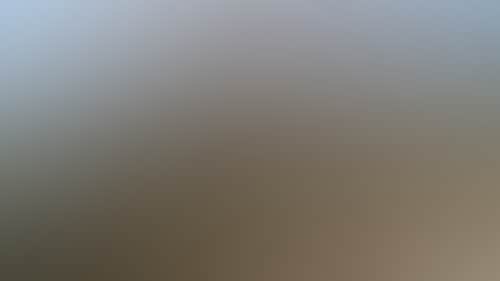 D99Af00Db863Dbe98Fef1D3575F0D20D