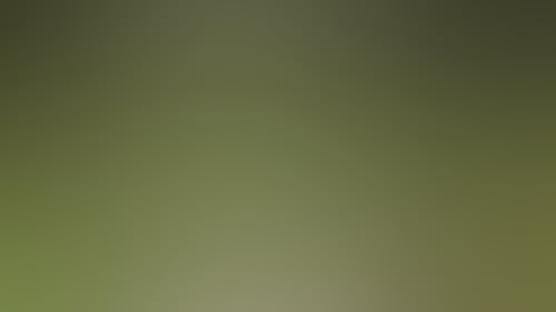 0E32692731094A6607Cd209552Ac6F25