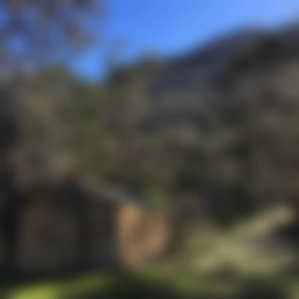C7B9Fe5204A0E7Edcf33Ff5F37635D85