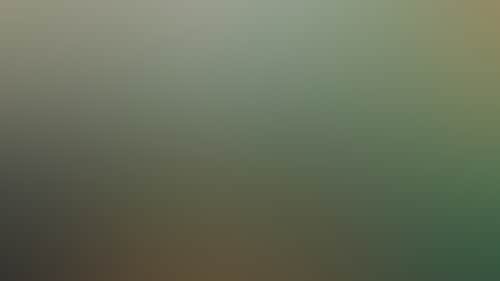 99A9963F485C92D3640E596Fabaa9B68