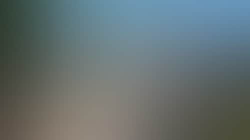 D5A60Fd6Fea9263C58D23E626317B681