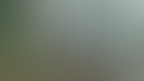 E55Ca3949B405F746955F9D9E461Acbc