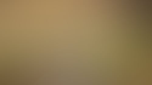 5C32F19B665Da0854Ce270B5470Fbbfb_9Z61Qok