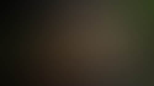 265Bdd95B4551725E460241F32B0E8D0