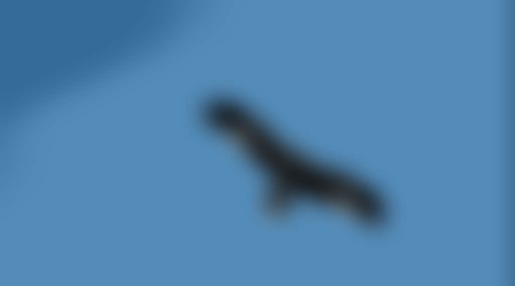 47552566787C55949F0940E1D7C6F25F