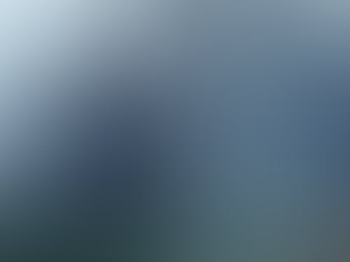 2A98D8B5A2Ed7Fd9653Aab70B013E370