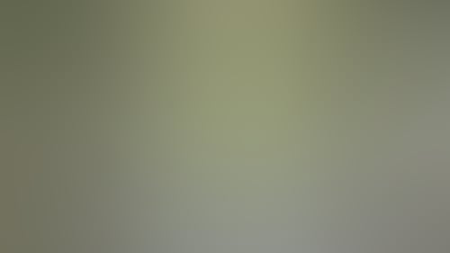 9600D2772D54861E8E68A26Afab8Df4B