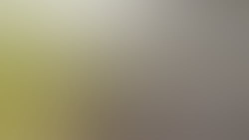 C55F224Cd1Ae2648F008E2E6833Da6Ef