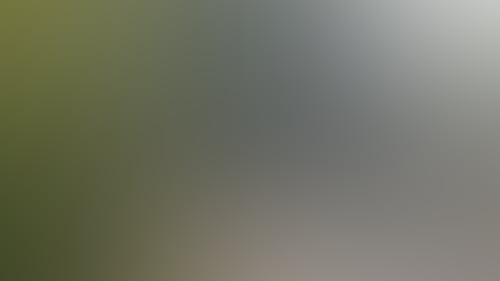 7C7C7Bb71Cfad5D8Ddbb474Ada808Aae