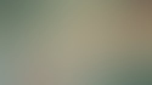 Original__9350677_Ci45_Red_Hot_Pokers_Copy350_Nvcpfv1