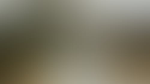 B7Bf44214Ef752Be8Abee49F08F5802D
