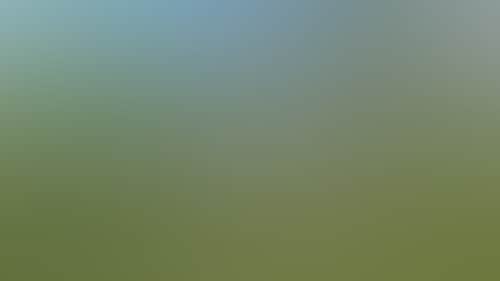 B7Fc386F87123452E416F2F0A5Ebb120