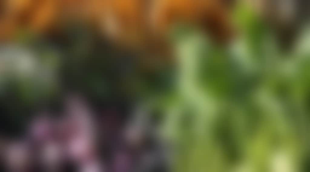 15F70Fa5F39De193E32Df70487Ea30B1