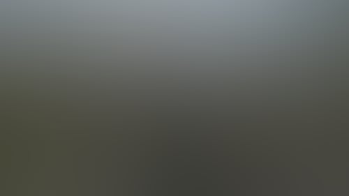 4D8286E69A8C96E681C02E07C3F57Ef4