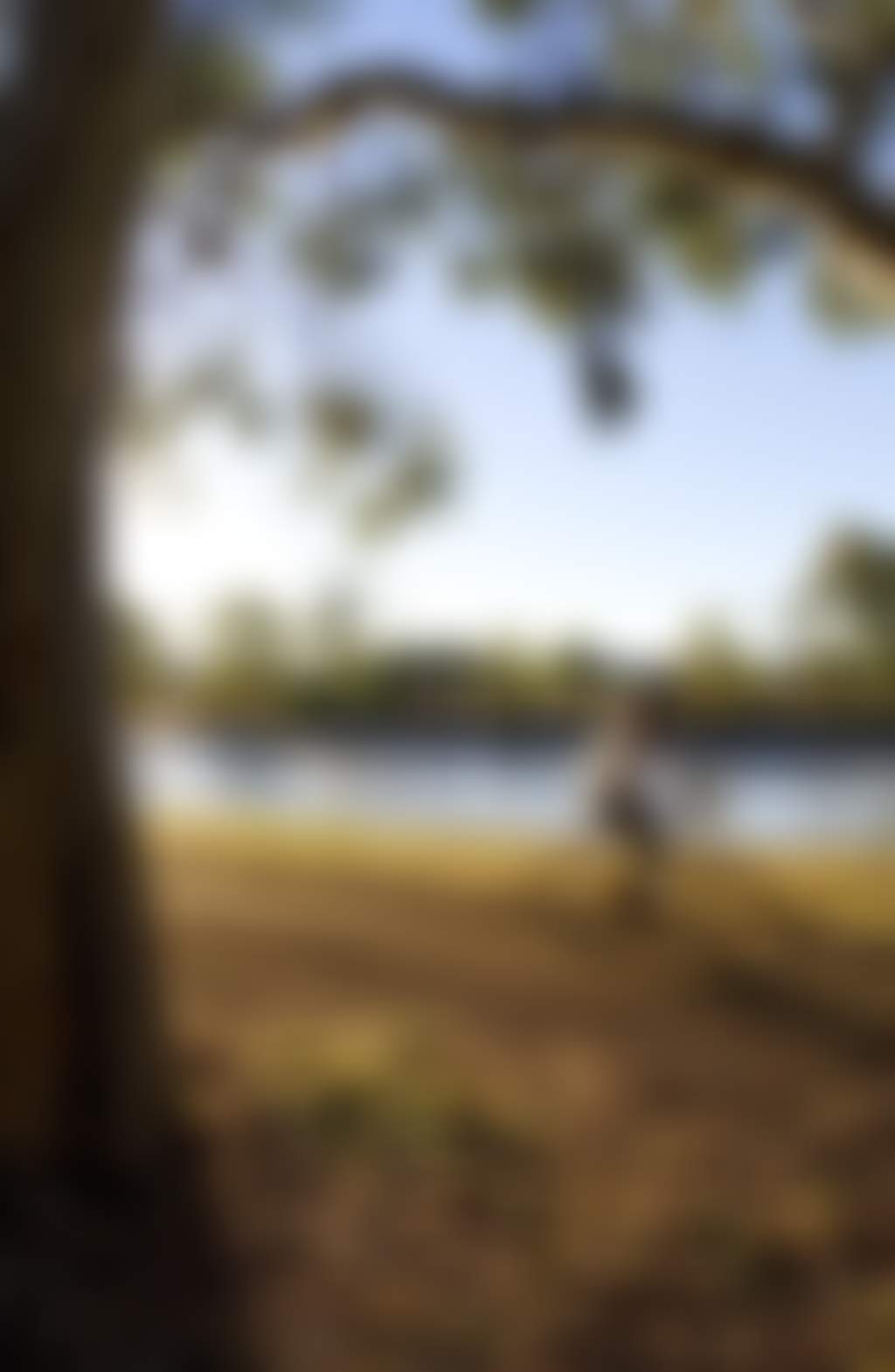 Wimmera River, Horsham