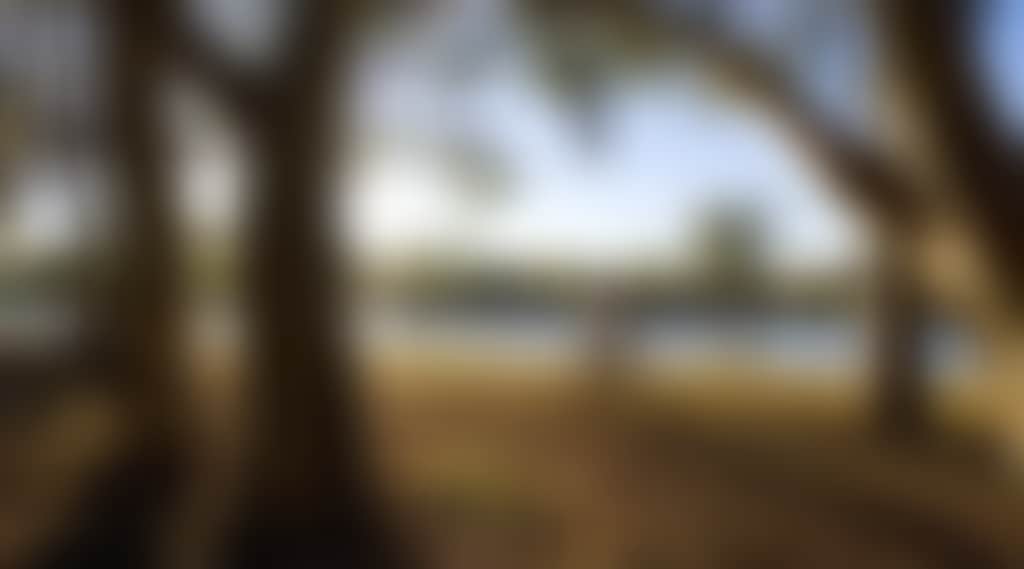 Wimmera River, Horsham