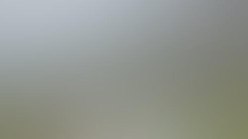 A4668906323B5Ea1D3E90267A214B57C