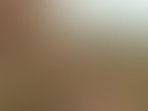 Hallsgapzoo 84266464 525413874847489 1631372830926232051 n
