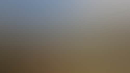 91Be56B8F07E6163C284491D0F098Cc4