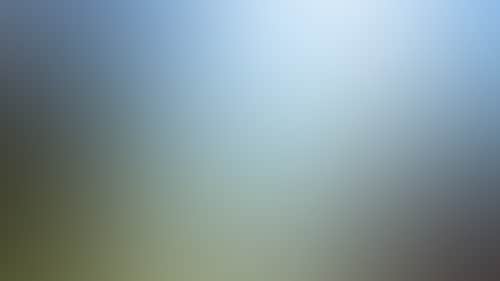 C927C1E38Ff33C4A5A432C5000Aa9894