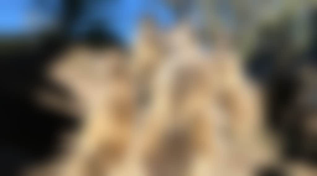 1E12F72B2382345B3B293448E37Bdcf1