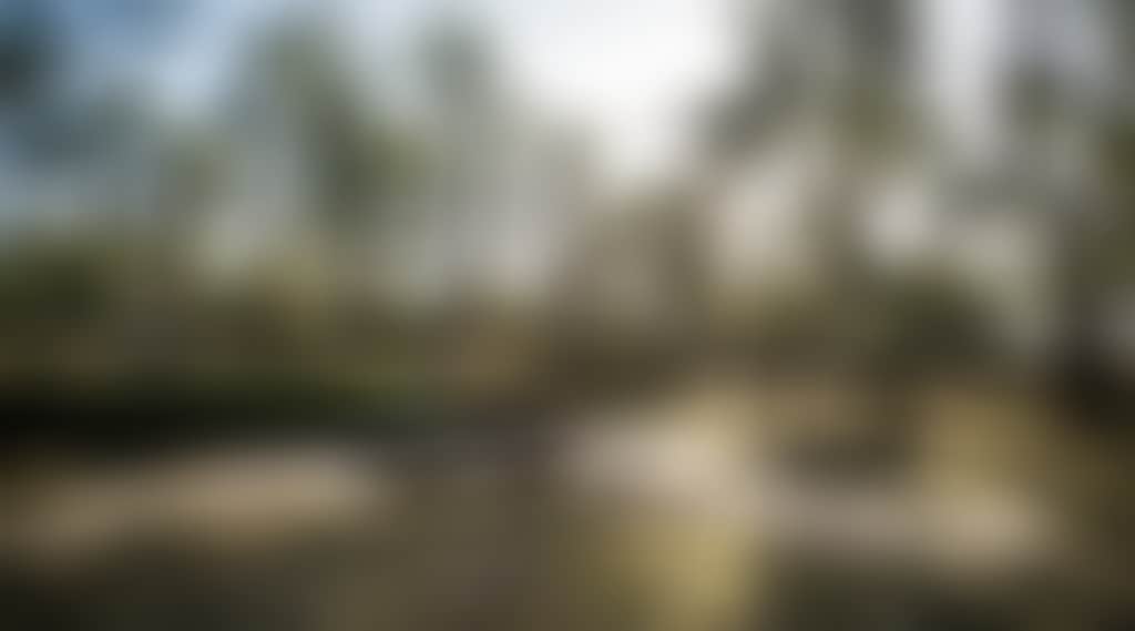 1570568Af0A1Cd3C828C0189Ee470163