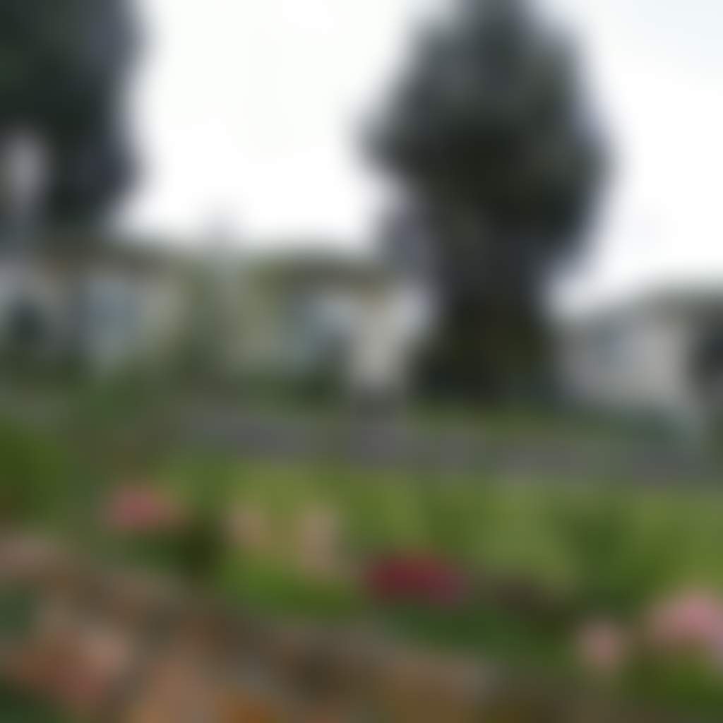Original__9689302_Dk63_Dscf1156_Fznctf1
