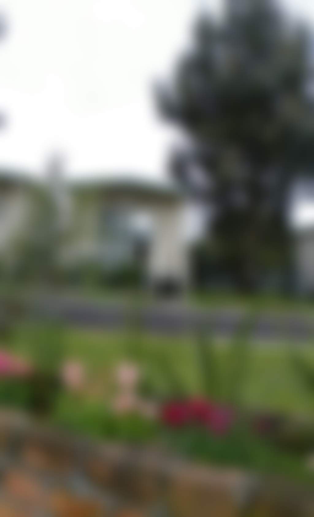 Original__9689302_Dk63_Dscf1156_Fznctf1