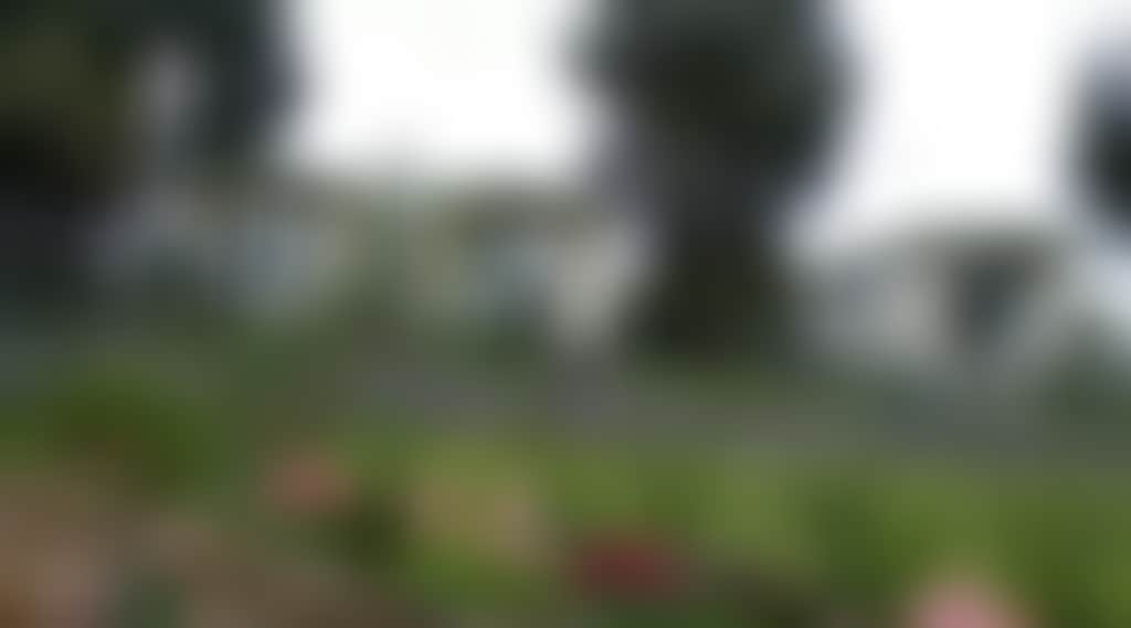 Original__9689302_Dk63_Dscf1156_Fznctf1