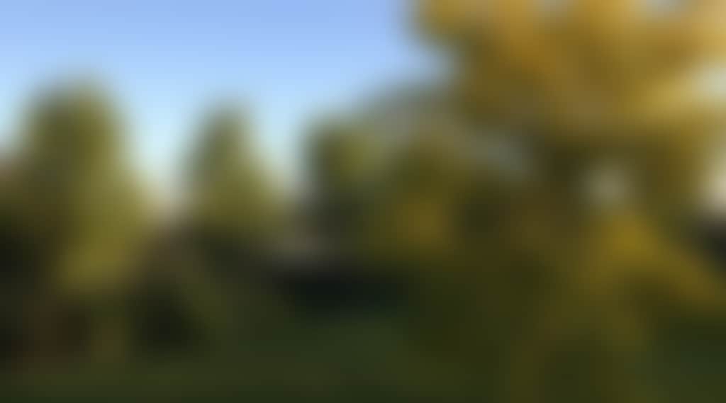 Original__9470909_Ax11_Photo_Yvb3Qle