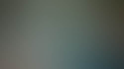 E2C04Cf1Bfa23Ba59A262690692Cc9B9