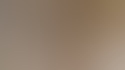 0561E1321Aea68E51Dc7Eed3Ce3046E4