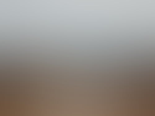 A2940843C93Dc7E29C7065F040D45D18