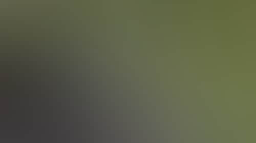 2Ca9638014E8Ca39E879609F9Ffa6610