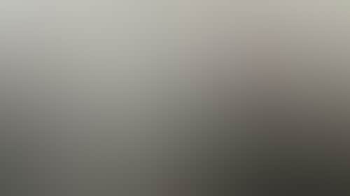 24Dab6216B6Eea8A6Ab201B18E9F4921