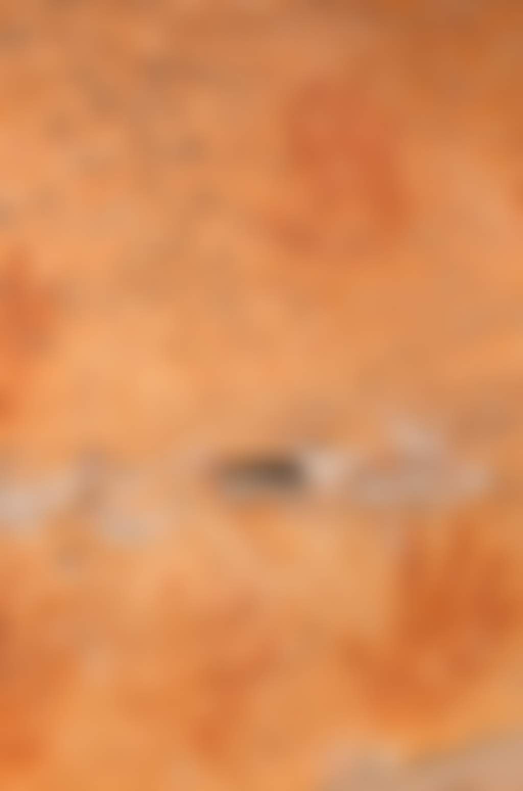 Gulgurn Manja Rockart