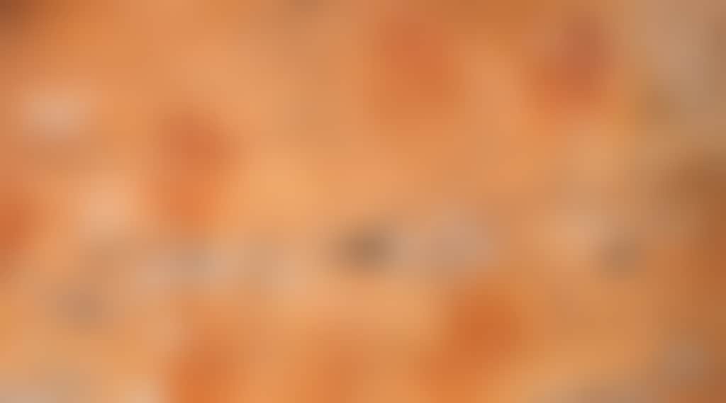 Gulgurn Manja Rockart
