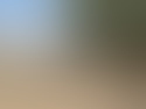 A8Dd832Fe359159E80Ed8Ef27A9D8F3B