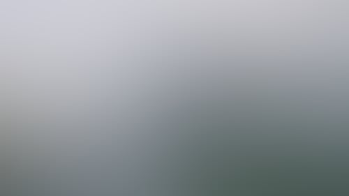 Cfa575Ff05489F398Bcfea71Aa605444