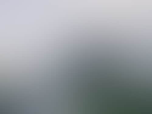 Cfa575Ff05489F398Bcfea71Aa605444