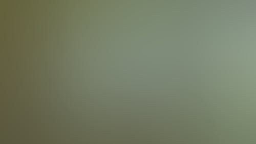 14423D0F387E2B9Bb09Cedb05F249230