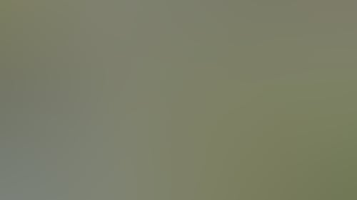 C4E941F4219Cf549374D66652B0096D2