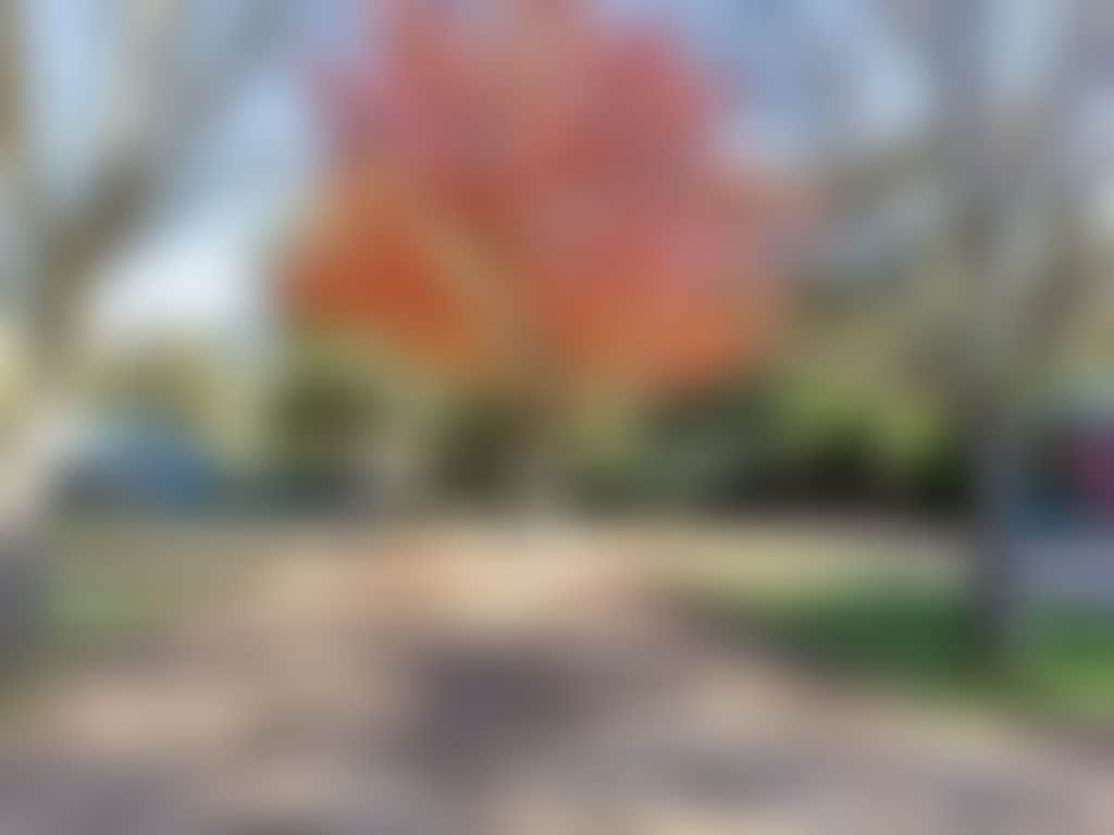 Bf045D02E3Cec5785513082Fffe933C4