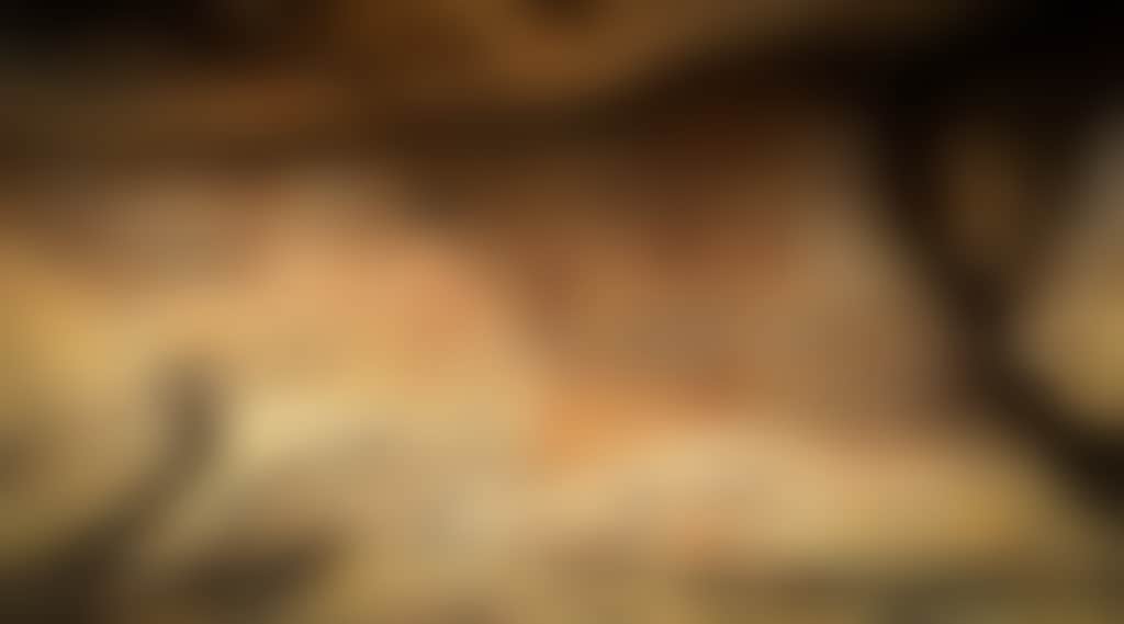 B3Fd6B242Ffe930B461212Dcf07A40C2