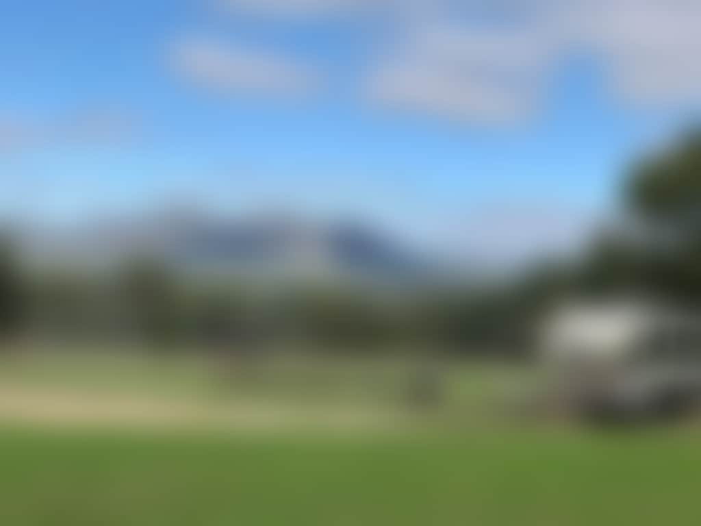 F1619C5666A43A09771112478E574296