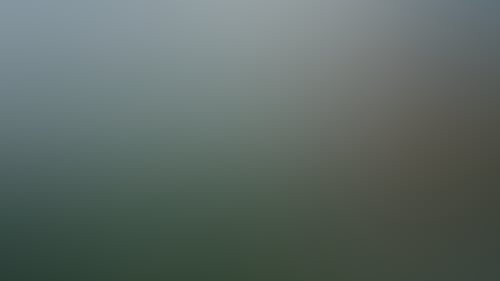 D9C2C132246A41D7A59Ccb5168941D28
