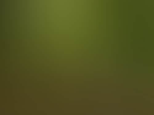 A56F142999Bfc7Bf131C147Fdb34E392